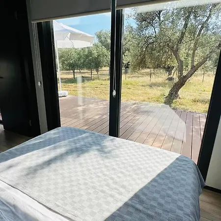 Hotel Merkezde Havuzlu 2 Aileye Uygun